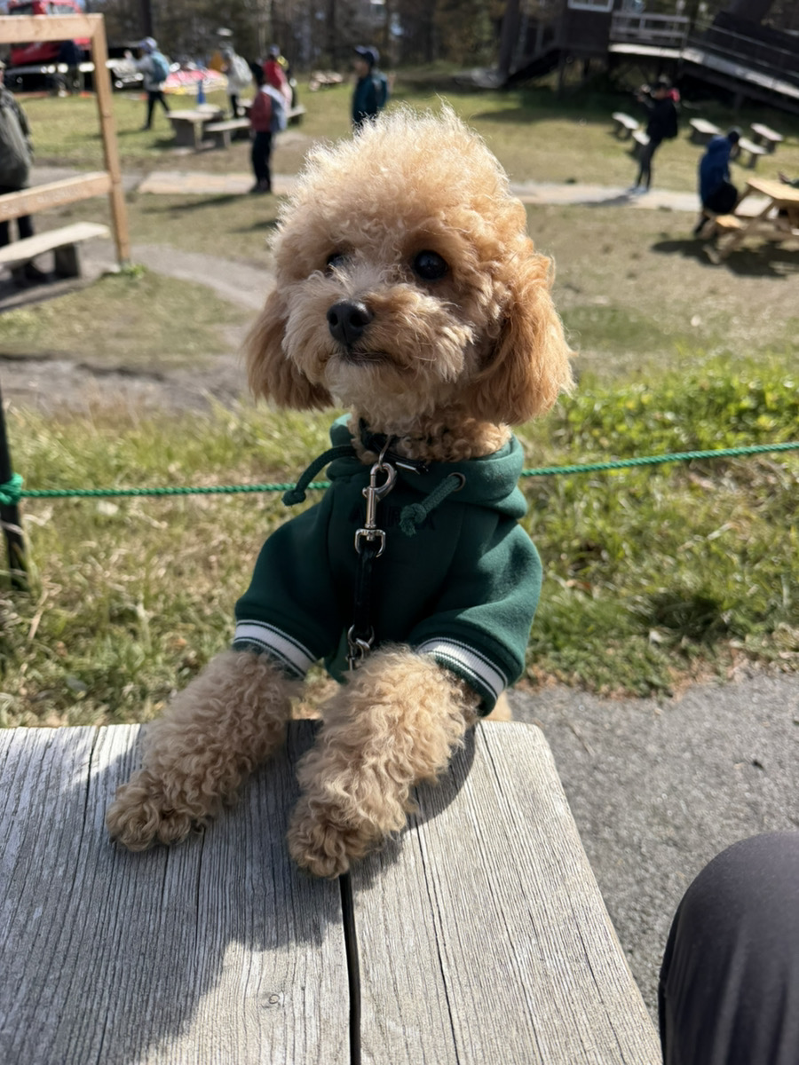 今すぐお問い合わせを！